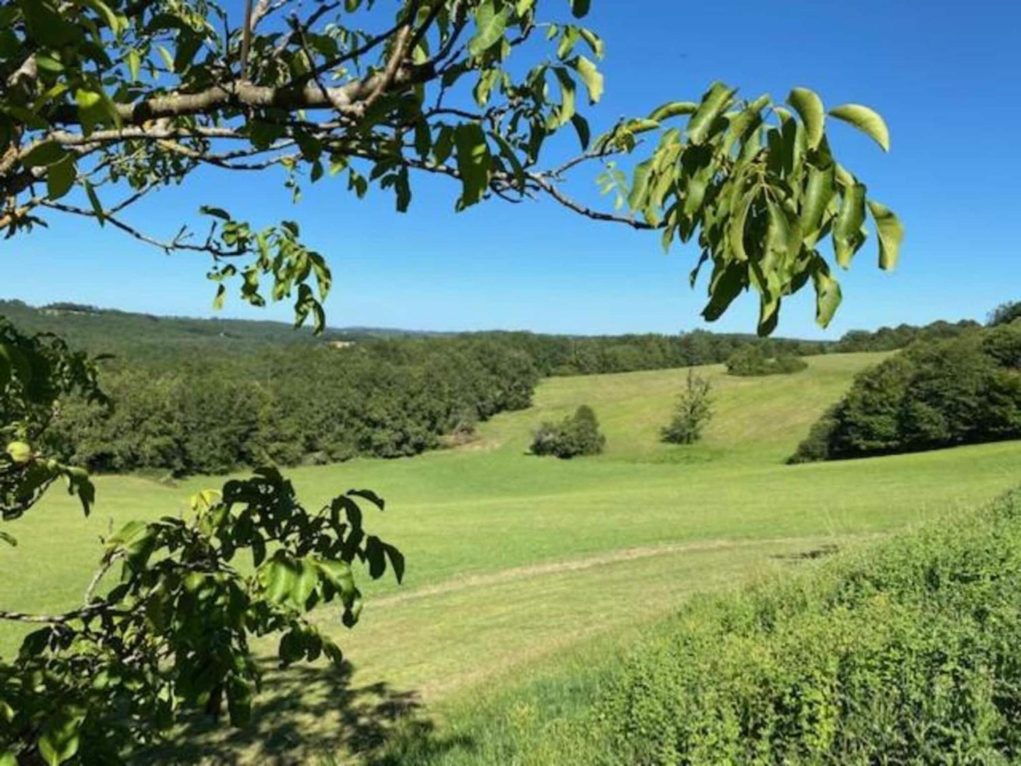 In Les Eyzies De Tayac Sireuil With Pool Holiday home